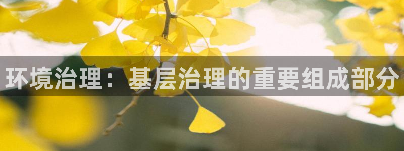 凯发官网首页：环境治理：基层治理的重要组成部分