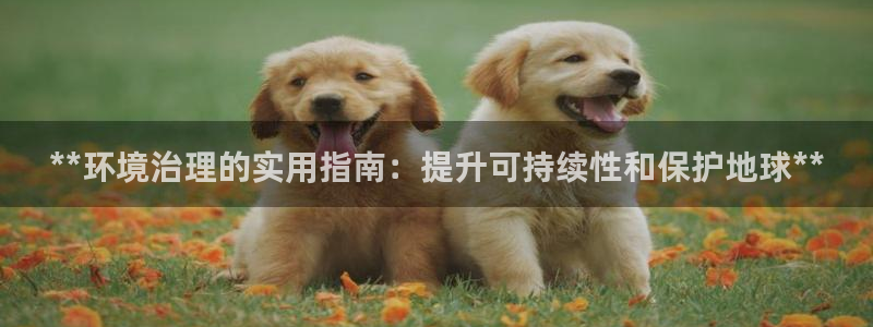 凯发k8官方旗舰店app：**环境治理的实用指南：提升可持续性和保护地球**