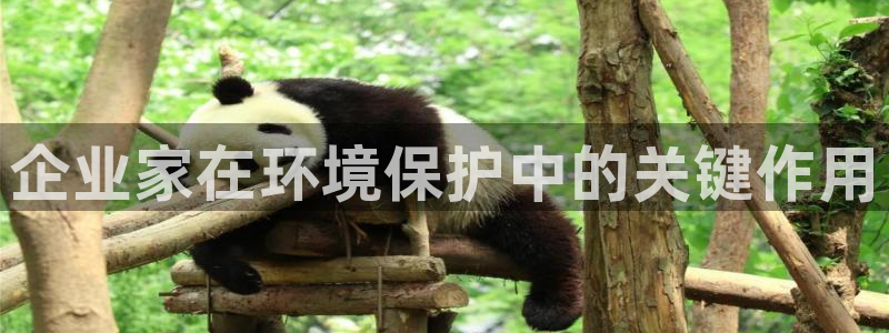 k8凯发：企业家在环境保护中的关键作用