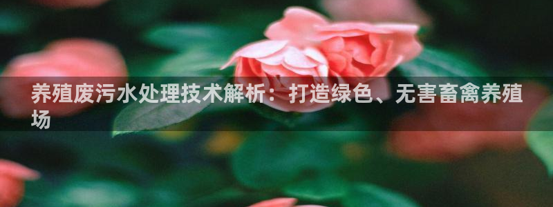 k8凯发国际官方入口：养殖废污水处理技术