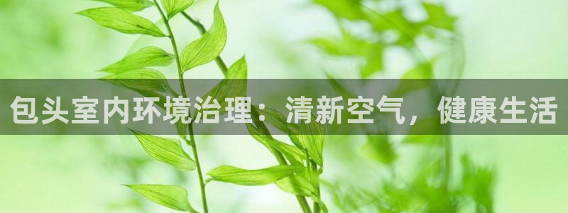 凯发k8国际(中国)官方网站·一触即发|包头室内环境治理：清新空气，健康生活