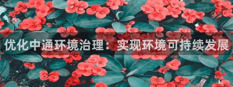 凯发k8旗舰厅注册登录|优化中通环境治理：实现环境可持续发展