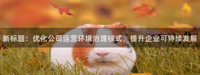 凯发k8天生赢家一触即发|新标题：优化公司运营环境治理模式，提升企业可持续发展