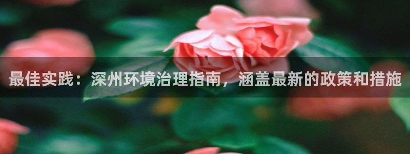 凯发唯一官方网站|最佳实践：深州环境治理指南，涵盖最新的政策和措施