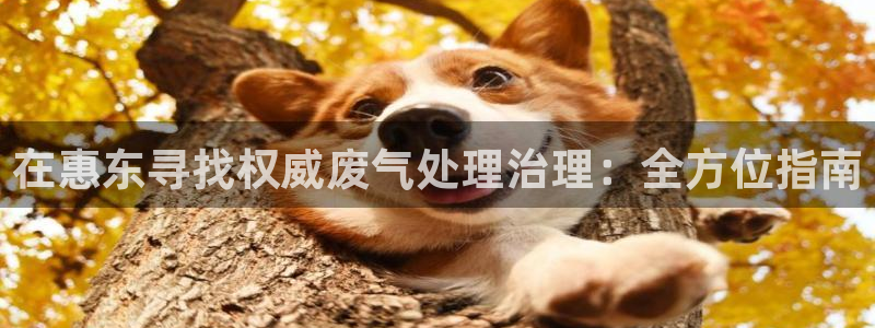 凯发k8国际手机下载|在惠东寻找权威废气