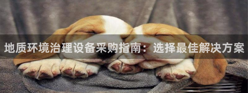 凯发k8天生赢家一触即发|地质环境治理设