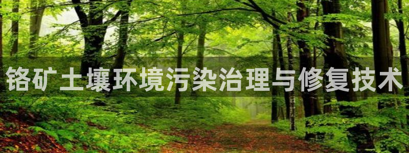 k8凯发|铬矿土壤环境污染治理与修复技术