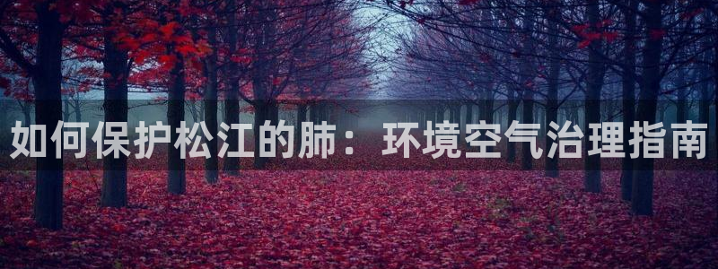 凯发k8一触即发|如何保护松江的肺：环境空气治理指南