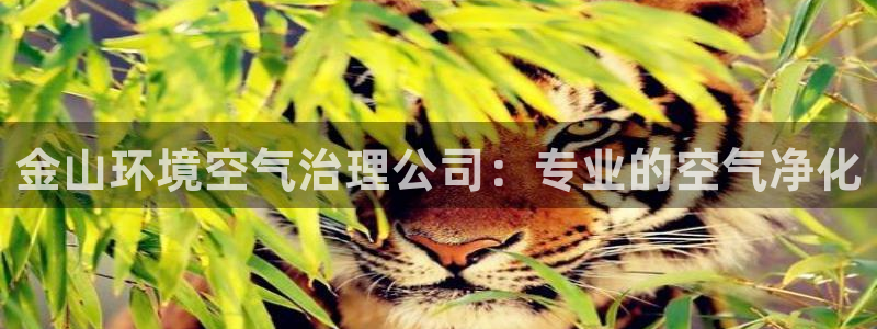 金山环境空气治理公司：专业的空气净化