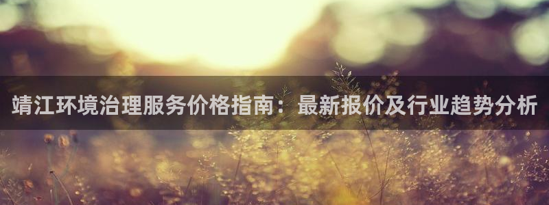凯发k8国际唯一|靖江环境治理服务价格指