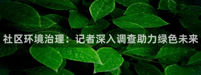 凯发k8网站是多少|社区环境治理：记者深入调查助力绿色未来