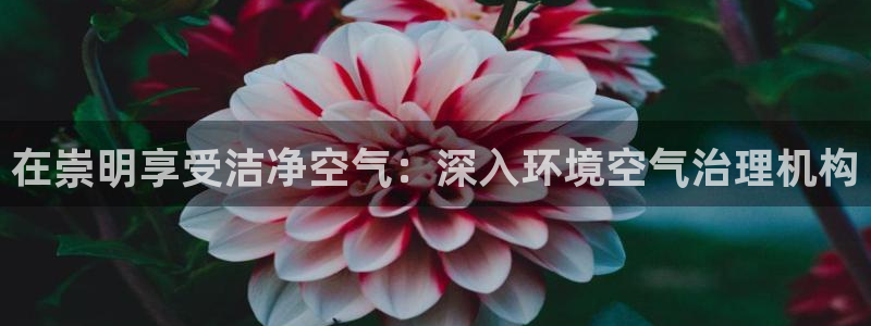 凯发官网入口首页|在崇明享受洁净空气：深入环境空气治理机构