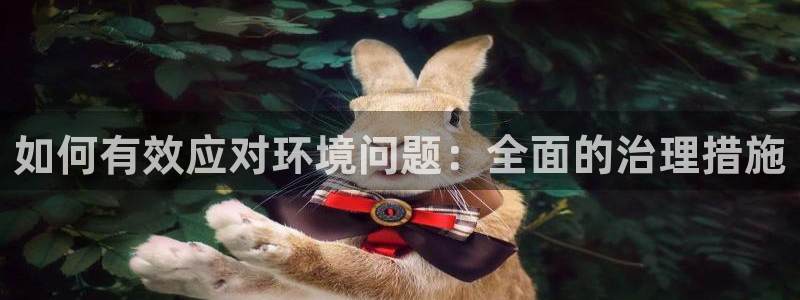 凯发k8国际唯一|如何有效应对环境问题：全面的治理措施